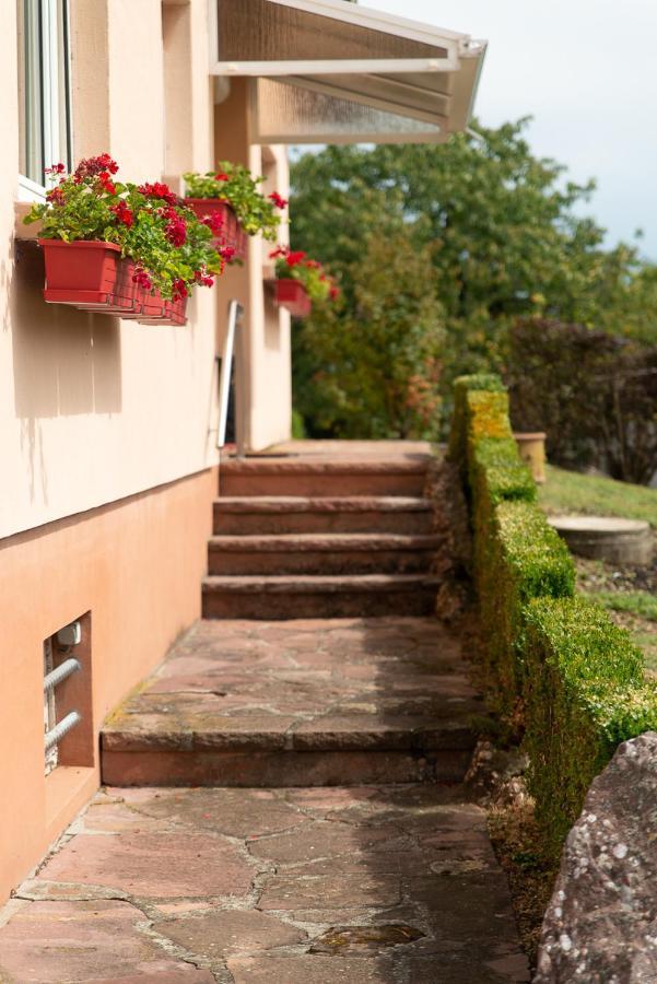 Gite Au Coeur De L'Alsace Maison Gatsby Staffelfelden Exterior photo